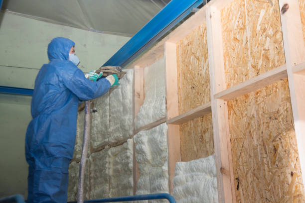 Best Insulation Contractor Near Me  in Blue Rapids, KS